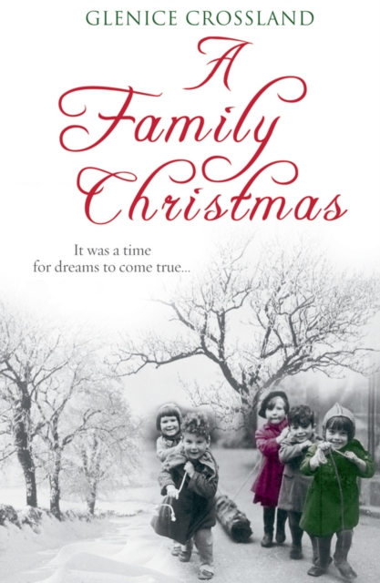 A Family Christmas, Paperback / softback Book