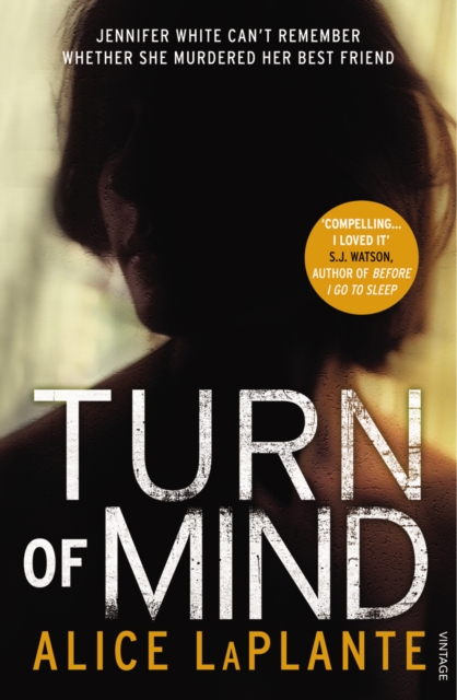Turn of Mind, Paperback / softback Book