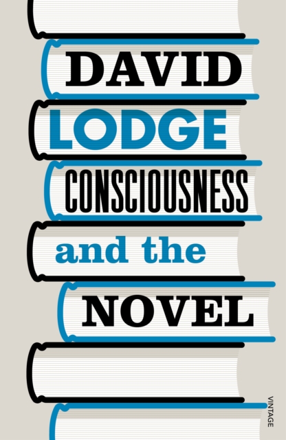 Consciousness And The Novel, Paperback / softback Book