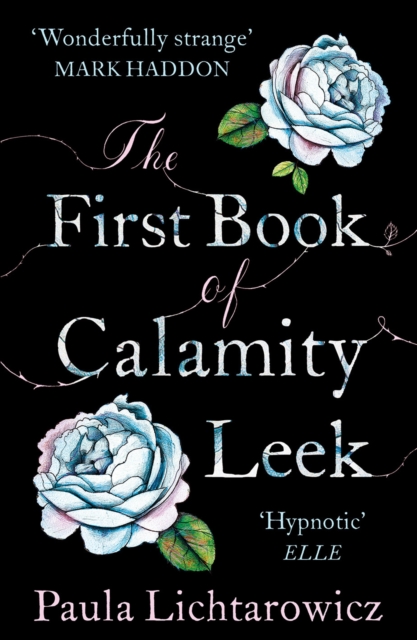 The First Book of Calamity Leek, Paperback / softback Book