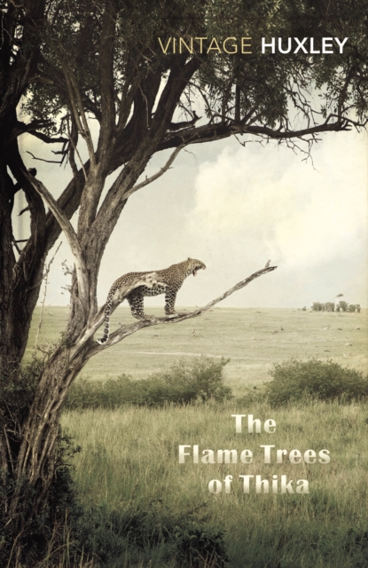 The Flame Trees Of Thika : Memories of an African Childhood, Paperback / softback Book