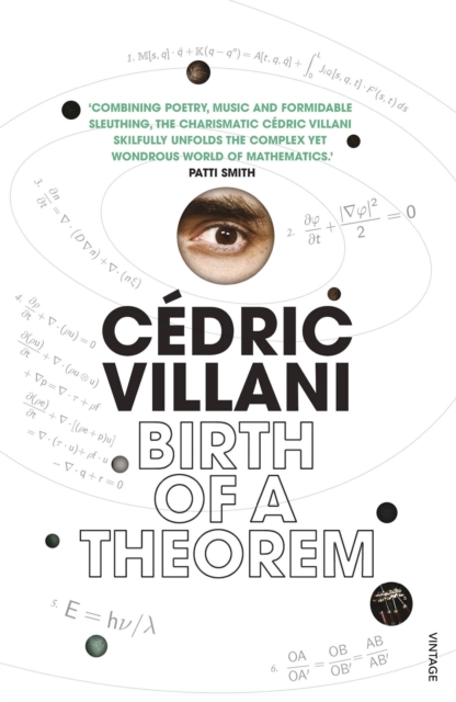 Birth of a Theorem : A Mathematical Adventure, Paperback / softback Book