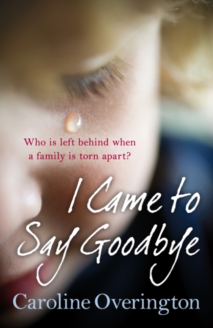 I Came to Say Goodbye, Paperback / softback Book