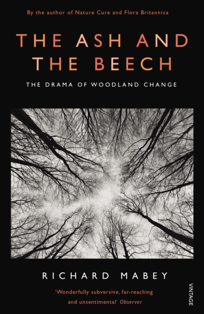The Ash and The Beech : The Drama of Woodland Change, Paperback / softback Book