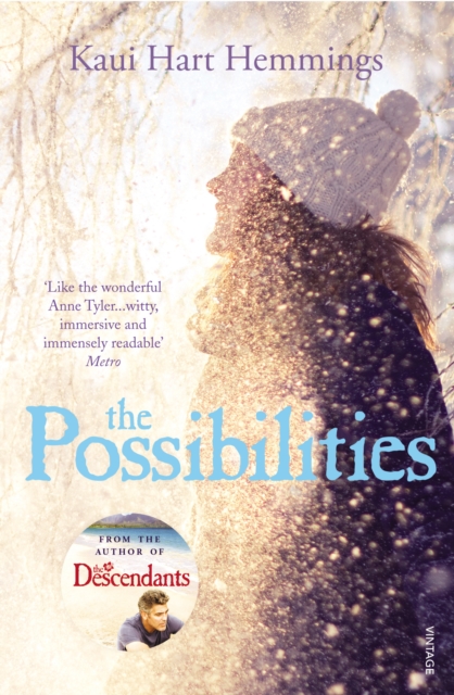 The Possibilities, Paperback / softback Book