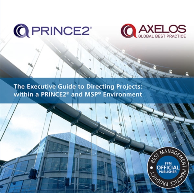 The Executive Guide to Directing Projects : Within a PRINCE2 and MSP Environment, PDF eBook