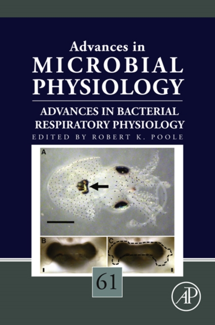 Advances in Bacterial Respiratory Physiology, EPUB eBook