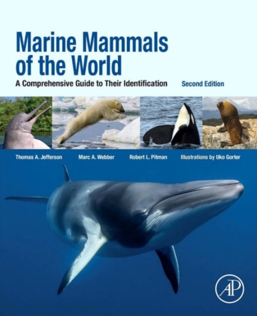 Marine Mammals of the World : A Comprehensive Guide to Their Identification, Paperback / softback Book
