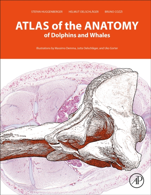 Atlas of the Anatomy of Dolphins and Whales, Hardback Book