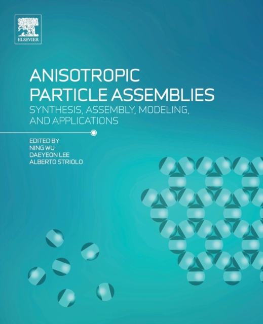 Anisotropic Particle Assemblies : Synthesis, Assembly, Modeling, and Applications, Paperback / softback Book Anisotropic Particle Assemblies : Synthesis, Assembly, Modeling, and Applications, Paperback / softback Book