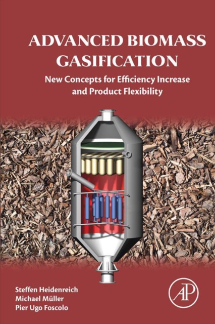 Advanced Biomass Gasification : New Concepts for Efficiency Increase and Product Flexibility, EPUB eBook