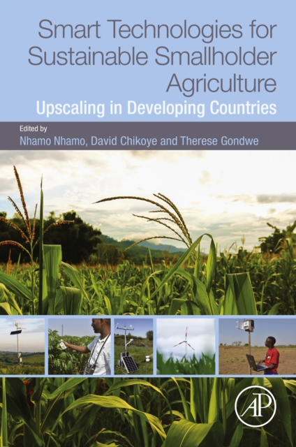 Smart Technologies for Sustainable Smallholder Agriculture : Upscaling in Developing Countries, EPUB eBook