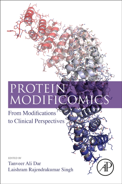 Protein Modificomics : From Modifications to Clinical Perspectives, Paperback / softback Book