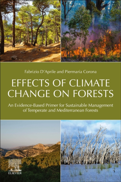 Effects of Climate Change on Forests : An Evidence-Based Primer for Sustainable Management of Temperate and Mediterranean Forests, Paperback / softback Book
