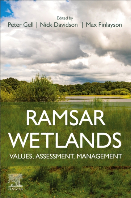 Ramsar Wetlands : Values, Assessment, Management, Paperback / softback Book