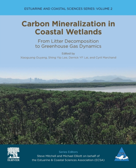 Carbon Mineralization in Coastal Wetlands : From Litter Decomposition to Greenhouse Gas Dynamics Volume 2, Paperback / softback Book