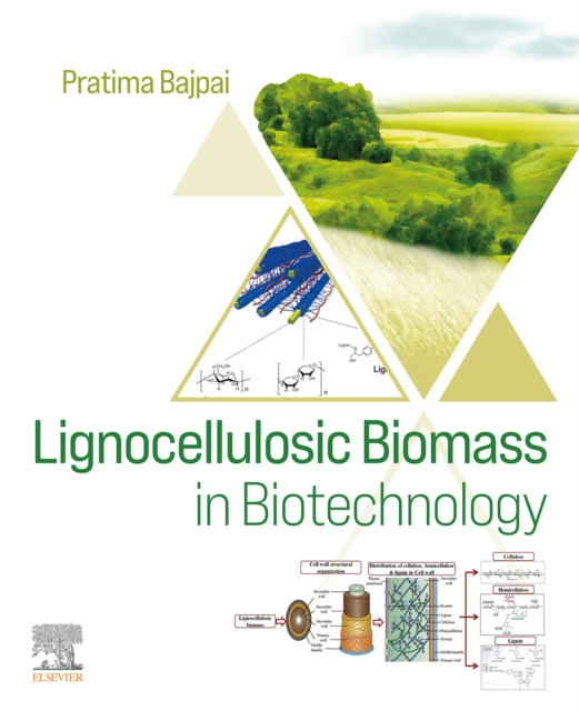 Lignocellulosic Biomass in Biotechnology, EPUB eBook