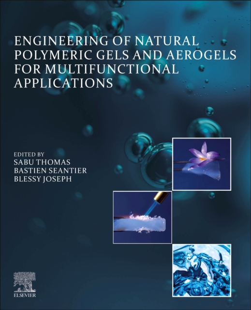 Engineering of Natural Polymeric Gels and Aerogels for Multifunctional  Applications, Paperback / softback Book