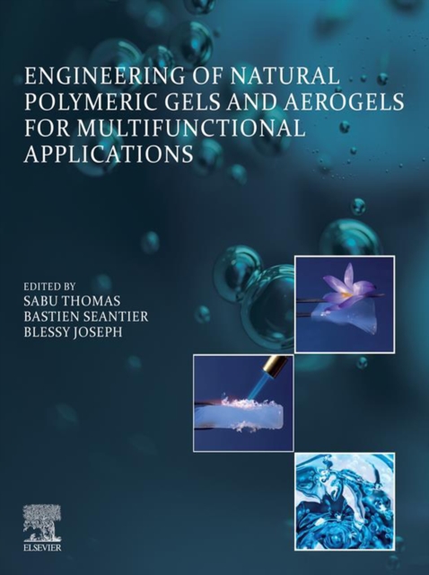 Engineering of Natural Polymeric Gels and Aerogels for Multifunctional  Applications, EPUB eBook