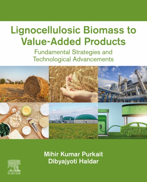 Lignocellulosic Biomass to Value-Added Products : Fundamental Strategies and Technological Advancements, EPUB eBook