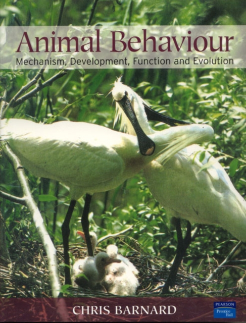 Animal Behaviour : Mechanism, Development, Function and Evolution, Paperback / softback Book