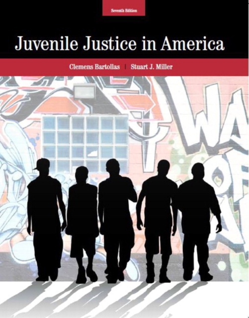 Juvenile Justice in America, Hardback Book
