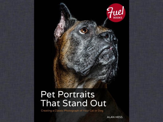Pet Portraits That Stand Out : Creating a Classic Photograph of Your Cat or Dog, PDF eBook