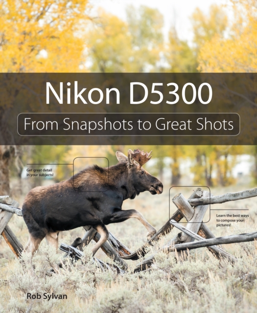 Nikon D5300 : From Snapshots to Great Shots, EPUB eBook