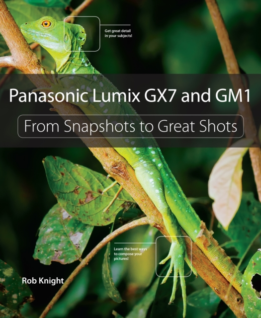 Panasonic Lumix GX7 and GM1 : From Snapshots to Great Shots, EPUB eBook