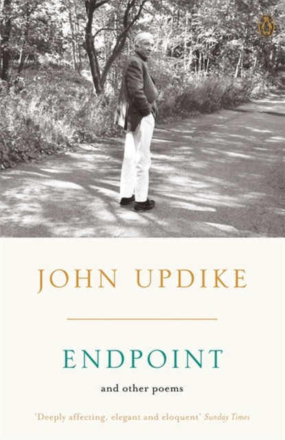 Endpoint and Other Poems, Paperback / softback Book