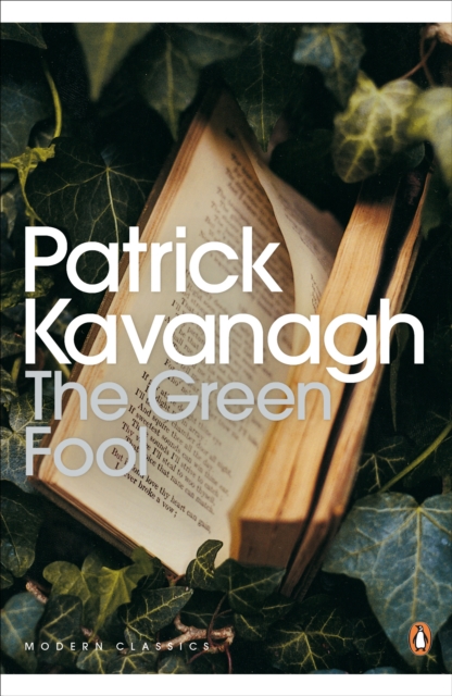 The Green Fool, Paperback / softback Book