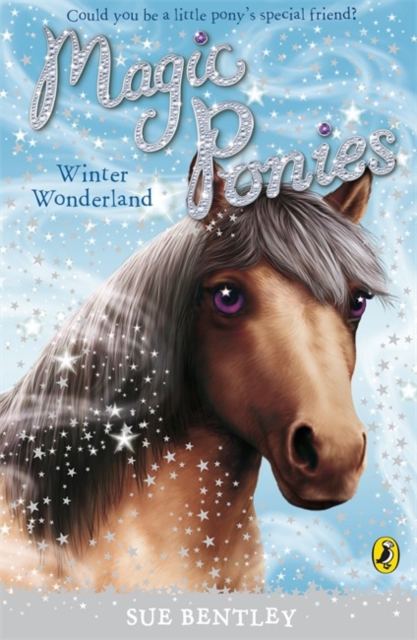 Magic Ponies: Winter Wonderland, Paperback / softback Book