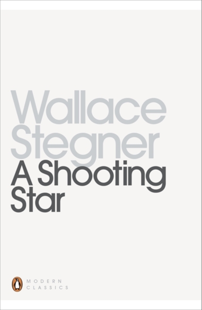 A Shooting Star, Paperback / softback Book