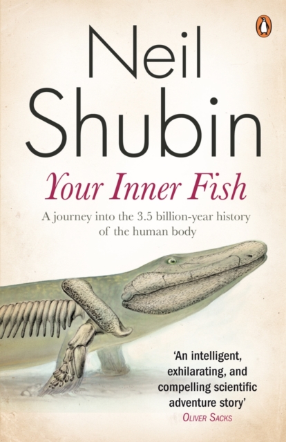 Your Inner Fish : The amazing discovery of our 375-million-year-old ancestor, EPUB eBook