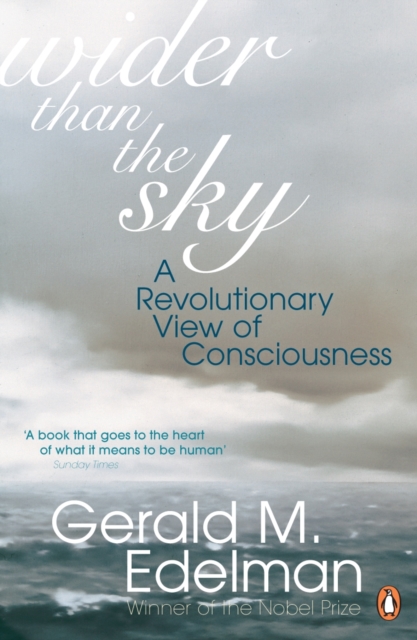 Wider Than the Sky : A Revolutionary View of Consciousness, EPUB eBook