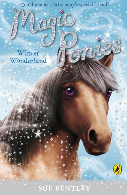 Magic Ponies: Winter Wonderland, EPUB eBook