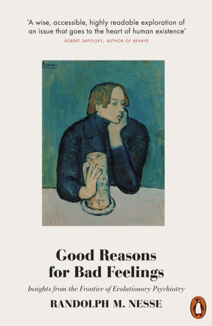 Good Reasons for Bad Feelings : Insights from the Frontier of Evolutionary Psychiatry, Paperback / softback Book