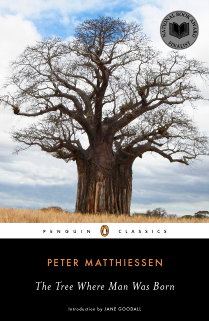 The Tree Where Man Was Born, Paperback / softback Book
