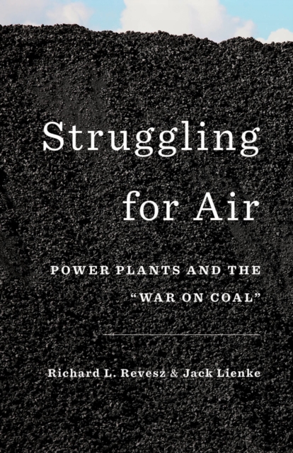 Struggling for Air : Power Plants and the "War on Coal", PDF eBook