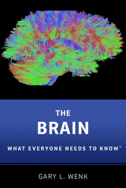 The Brain : What Everyone Needs To Know®, Paperback / softback Book