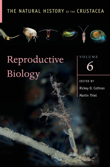 Reproductive Biology : The Natural History of the Crustacea, Volume 6, Hardback Book
