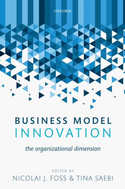 Business Model Innovation : The Organizational Dimension, PDF eBook