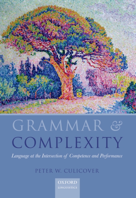 Grammar & Complexity : Language at the Intersection of Competence and Performance, PDF eBook