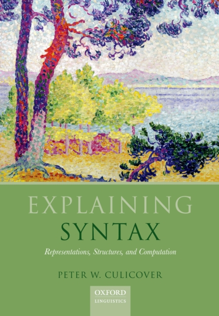 Explaining Syntax : Representations, Structures, and Computation, PDF eBook