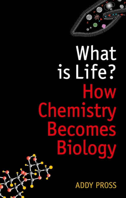 What is Life? : How Chemistry Becomes Biology, EPUB eBook