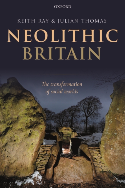 Neolithic Britain : The Transformation of Social Worlds, PDF eBook