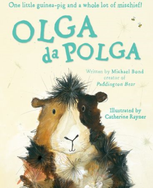 Olga da Polga, Hardback Book