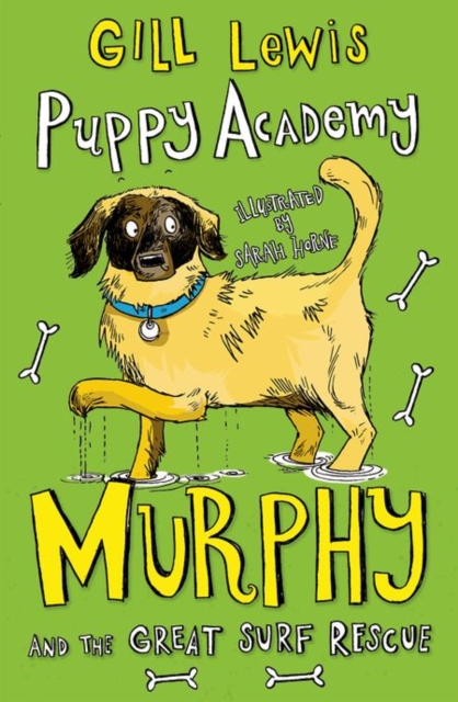 Puppy Academy: Murphy and the Great Surf Rescue, Paperback / softback Book
