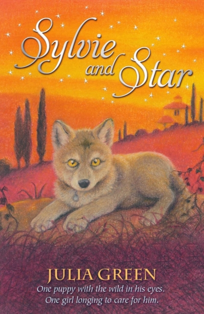 Sylvie and Star, Paperback / softback Book