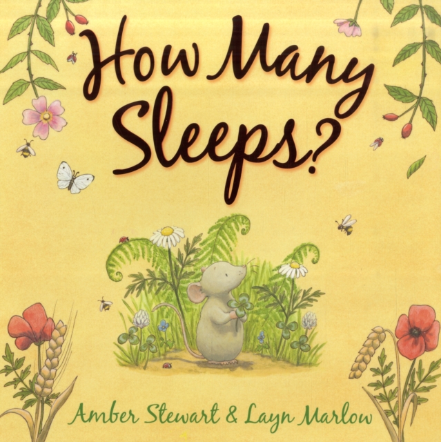 How Many Sleeps, Paperback Book